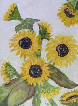 zonnebloemen.jpg